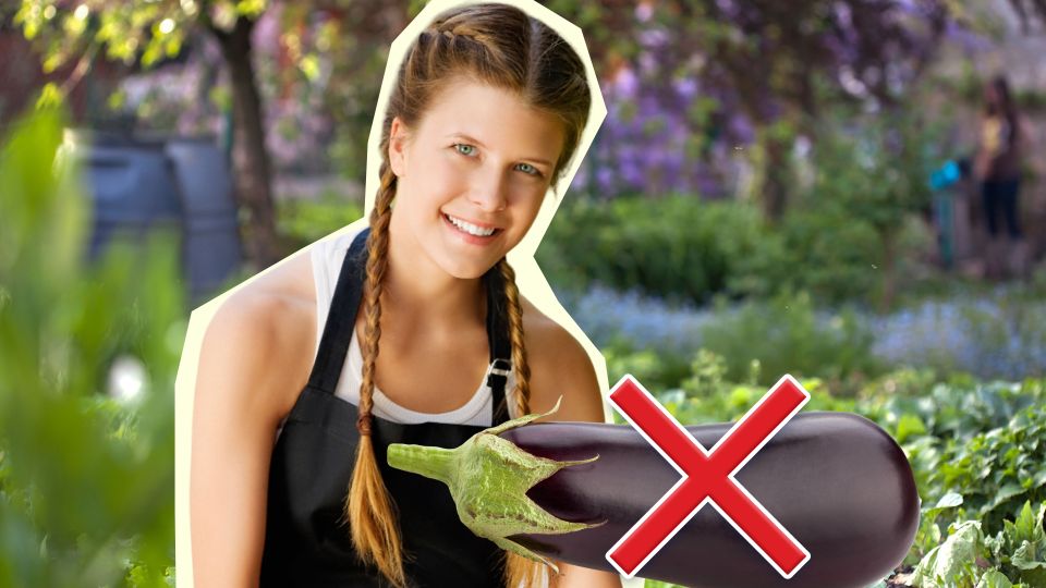 ��� ��� ������� ������� ������ ������ ���������� ����������: ���������� ���� �������