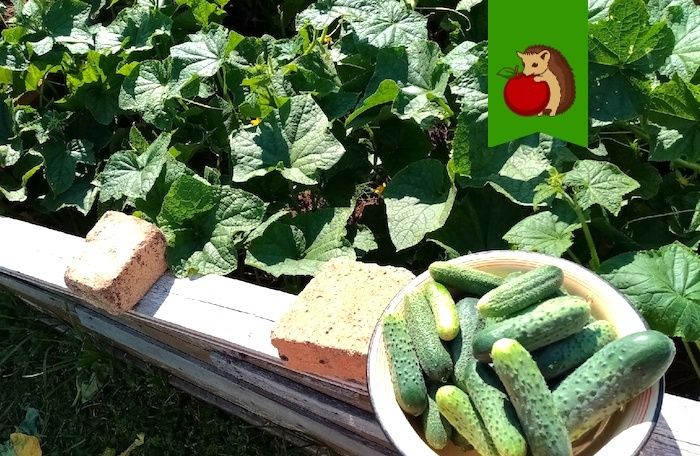 ��� ������������ ���������� ������: 4 ���������� �������