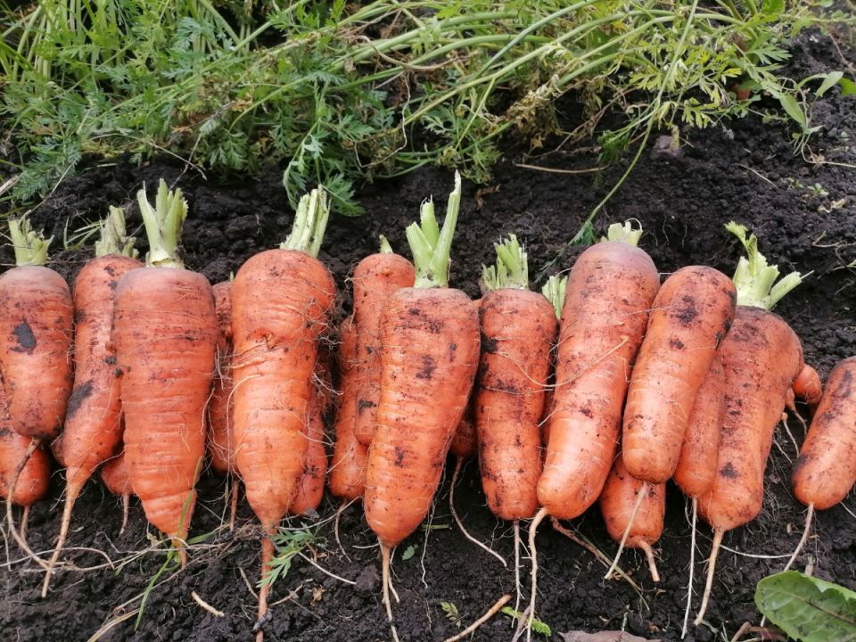 ������� ����� ������� �� 2025 ���: ��� ������� ��� ��������� ������?