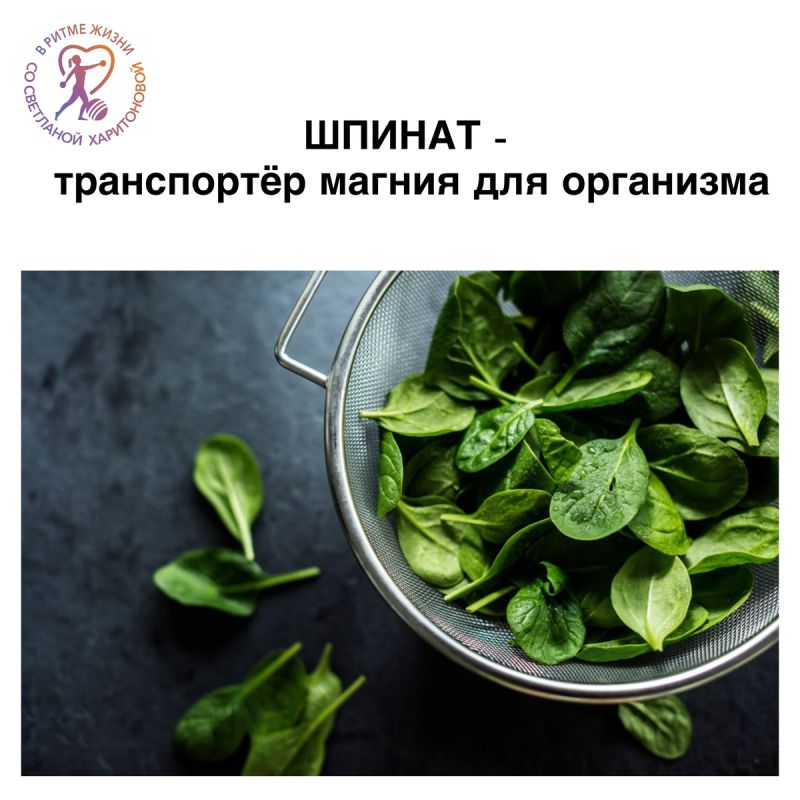 ������: ������ ���������� � �������� � ����� �����