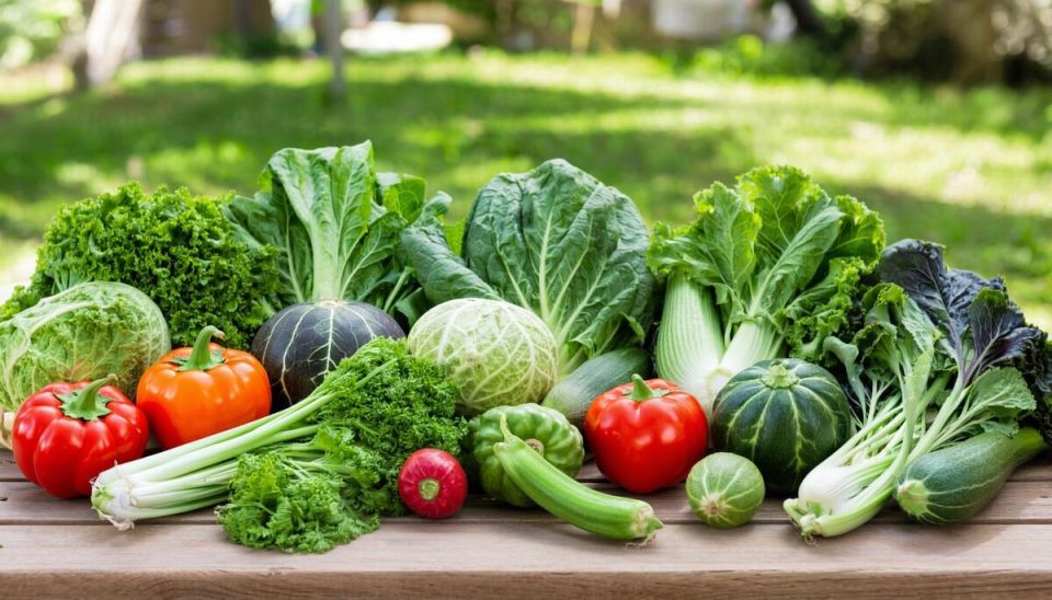 Овощи и зелень: ключ к энергии и здоровью в повседневной жизни