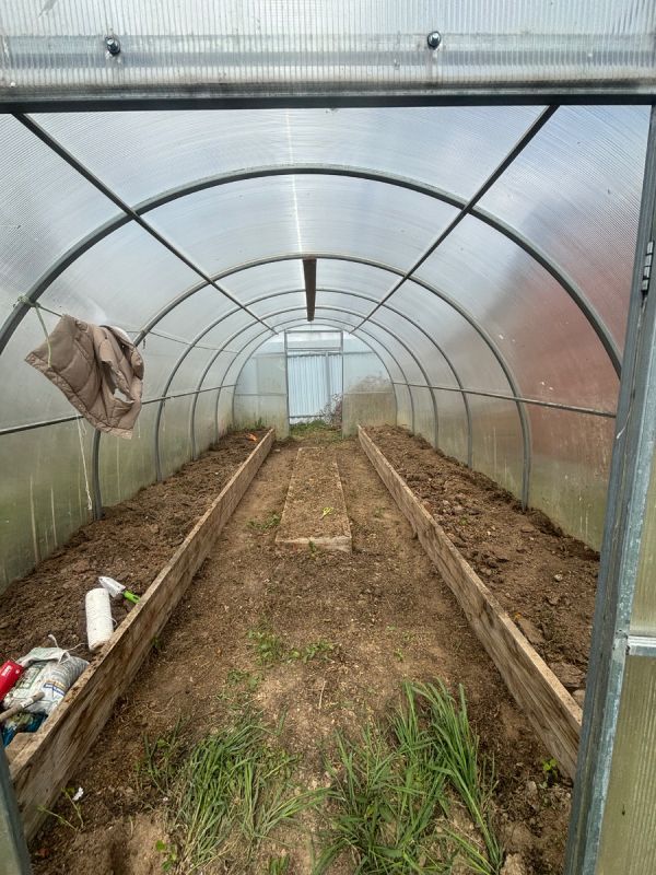 ����������� ���������� ������� � ������� � 2025 ����