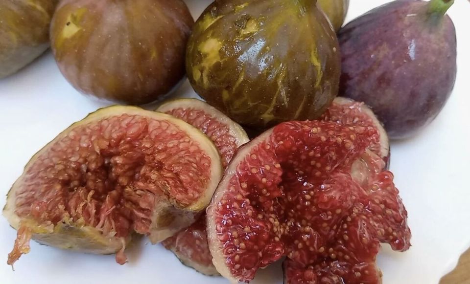 ��� ��������� ������� ������ �����: �������� ������ � ������� �����