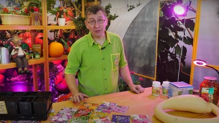 Идеальные условия для растений: секреты успешного овощеводства