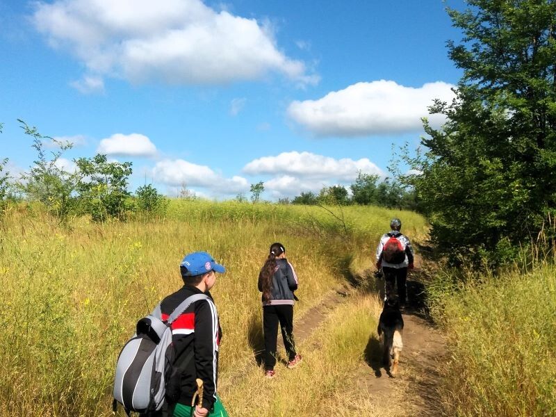 �������� ���� �� ������: ��� ����� ������ ������ ����� �����������