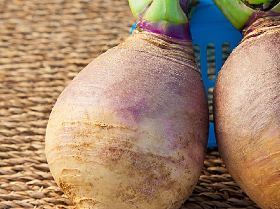 Брюква: забытый суперфуд, которого не хватает на нашем столе