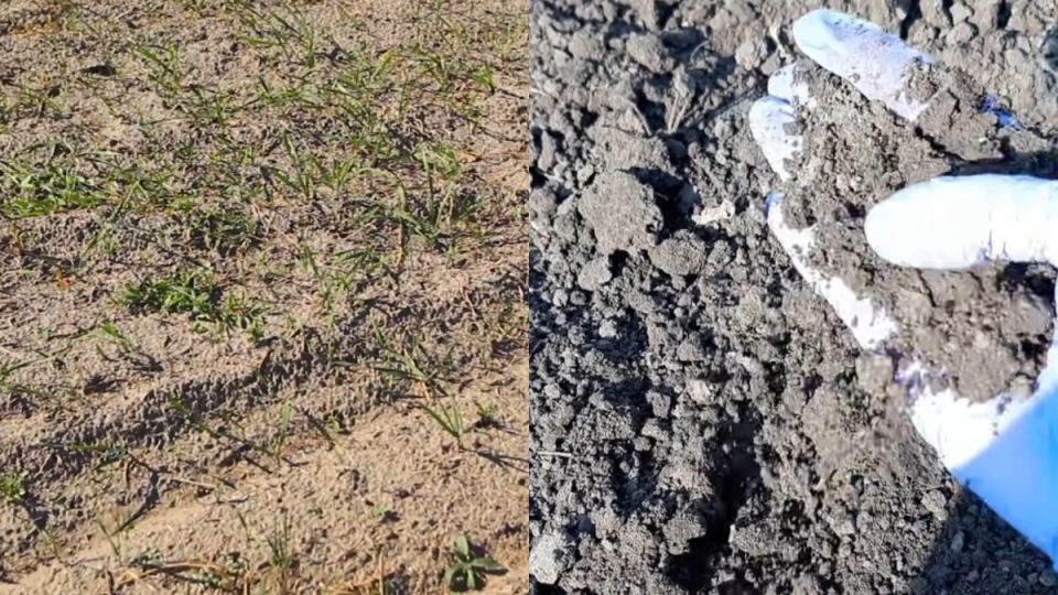 ��� ����� ������� ����� ����������� ���� �����: ������� ��������� ������