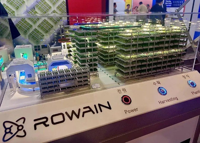 Надувные фермы для пустынь: революция в агрономии