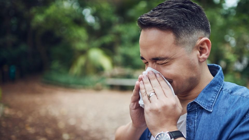 ����� � ������� ����� ������ ������� ��������: ��� ����� �������� ���������� ������