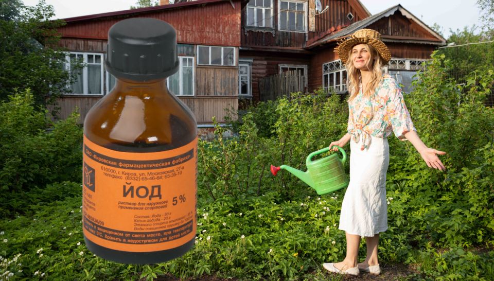 ��� �������� ���: ���� � ������ � ���������� ��� ��������