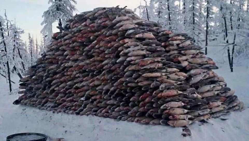 ��������� �������: ��� ���� ��������� ���� � ������