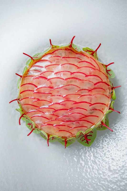 ���������� � ��� ���������� �����������: ����� ������ �� Twins Garden