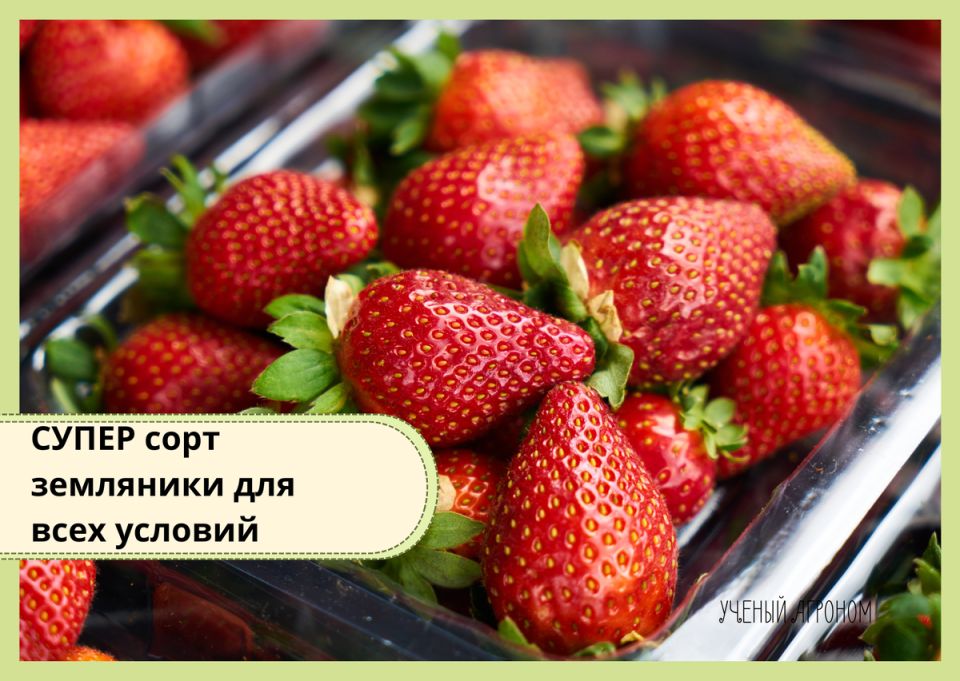 ����� ������ ��������� ��� ������� ������