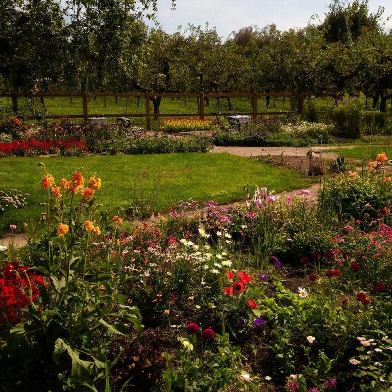 ������� ������������ ��������: ������������ ��� ������ ����