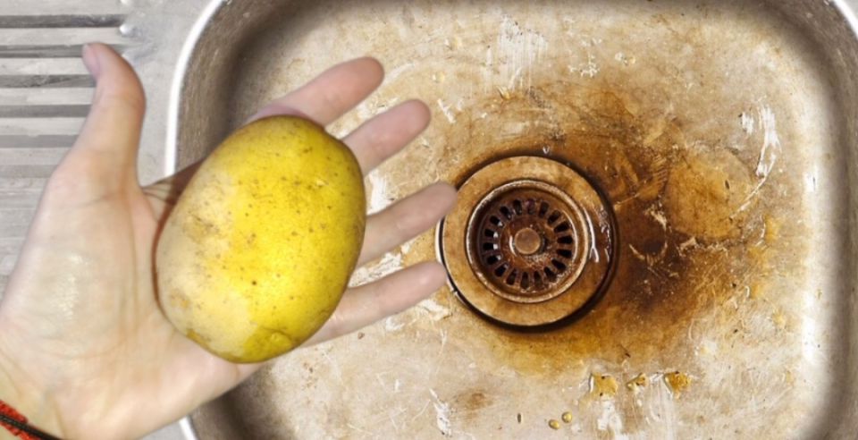 ��� ���������� �� ��������: ������� ������ � ��������