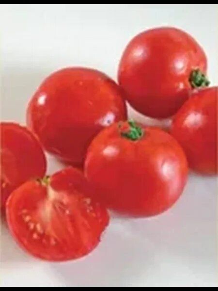 ������ �������: ���� ����������� � ������������� ��� ������ �������