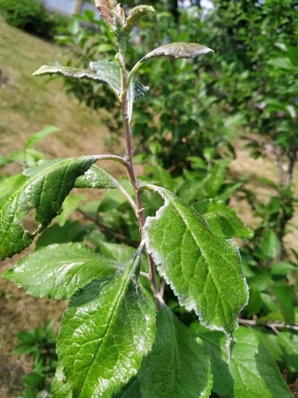 ��� ����� ������� � ��� ������� � ���������� ��� �� �����