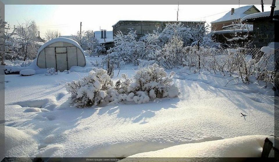 ������ ������ ��������: ��� �������� �� ������� � ������