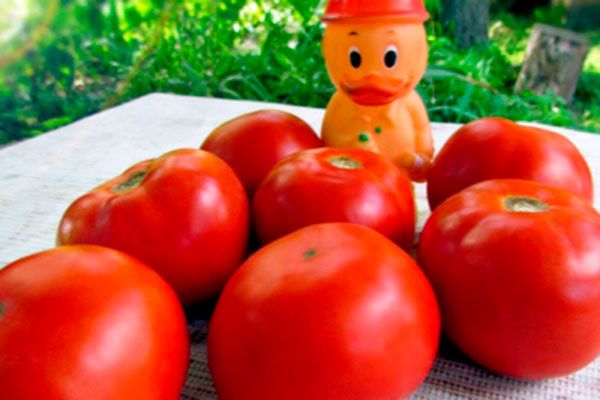 ������ �������: ������� ��������� ����� � ��������� ������