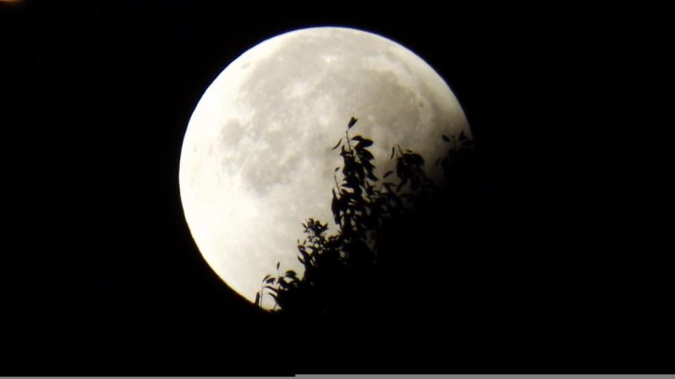 полнолуние, которое изменит жизнь: четыре знака зодиака на пороге перемен