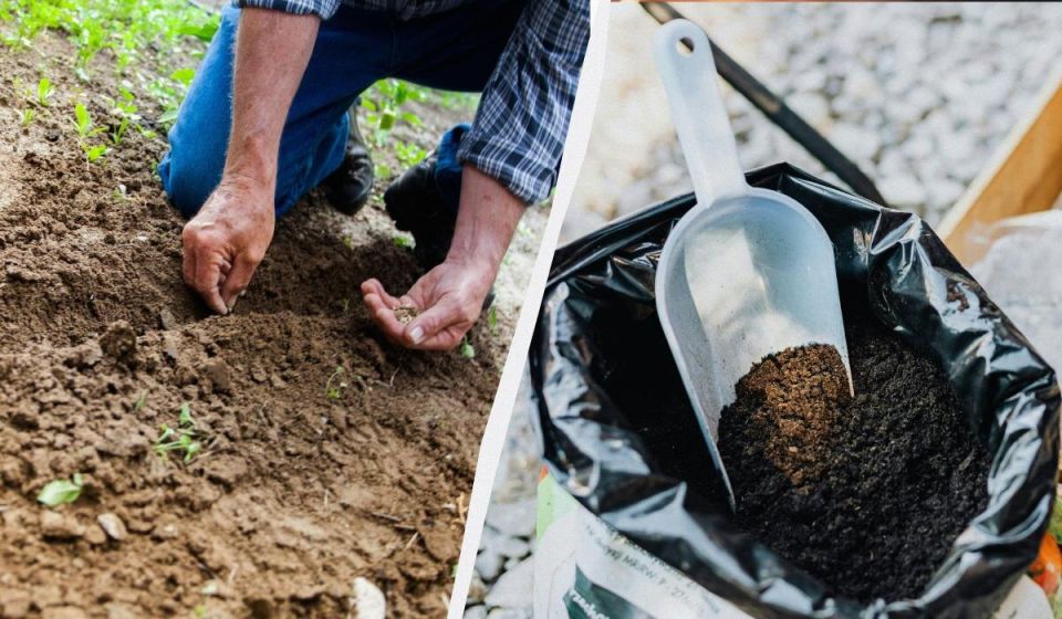 ��� ��������� �������� ������� ������� ��� �������� ������