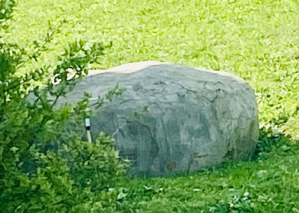 Декоративные элементы: как создать уютный и стильный сад