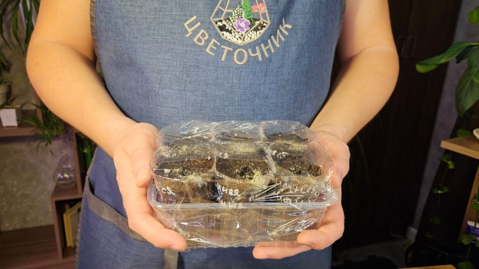 ���� ������, ����������� ���� �������: ��� �������� ��������� ��������