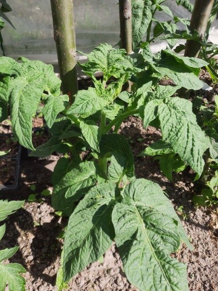 ��������� ������ ����� ��������� � ���� ������ ������ ��� ������ ��������