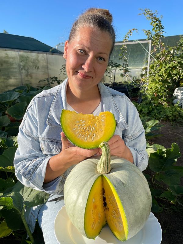 ������� ������ � ������ ��� �������� ������������ � ������ ������