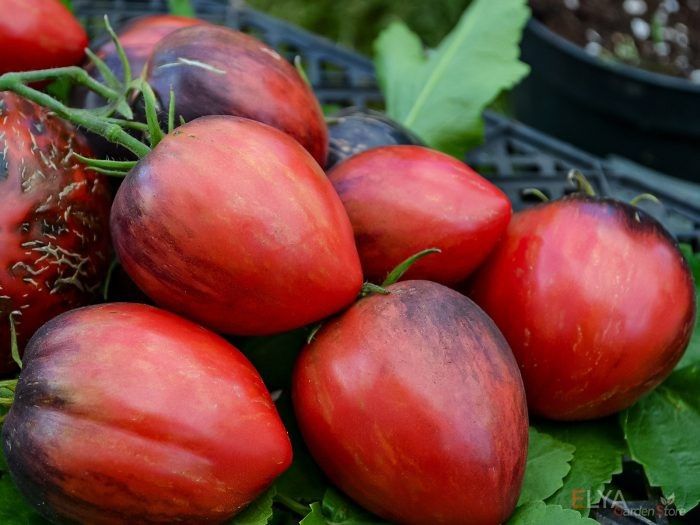 Томат клубничный водопад: декоративные плоды и изумительный вкус поской лад