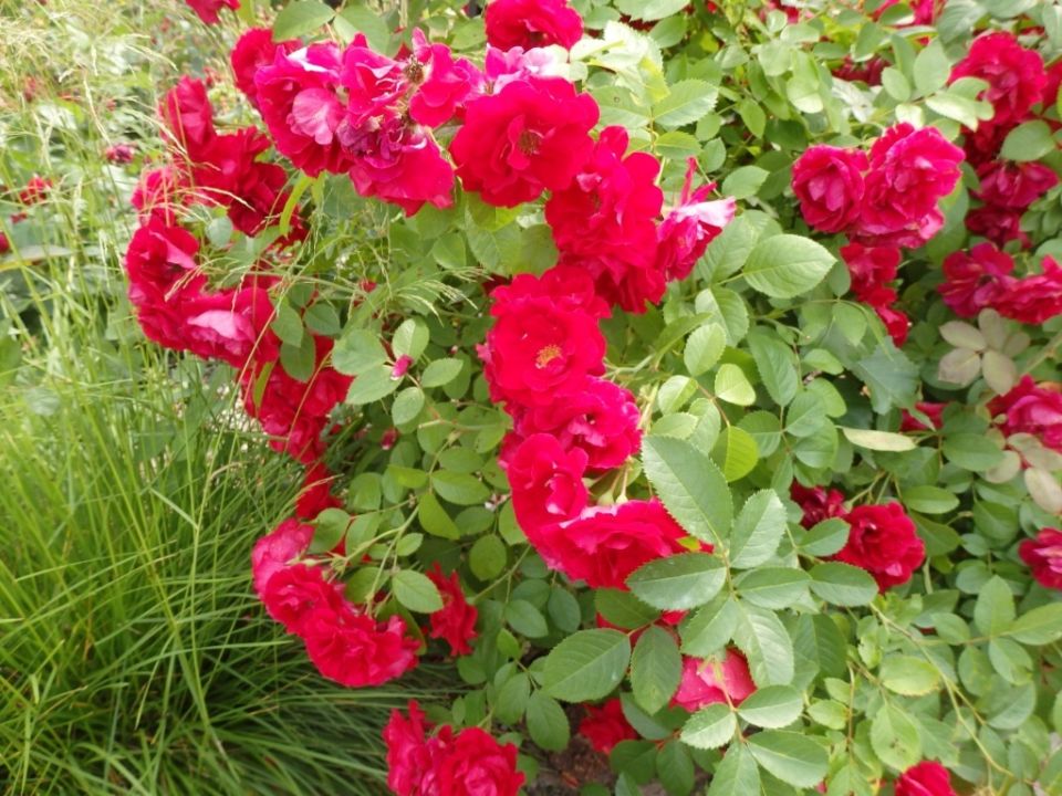 ��� ��������� ��� � ������� �� ����� ����� ��� ������