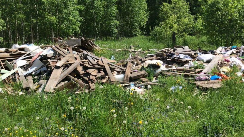 Свалка на участке и взыскание для владельца: спокойное объяснение ситуации