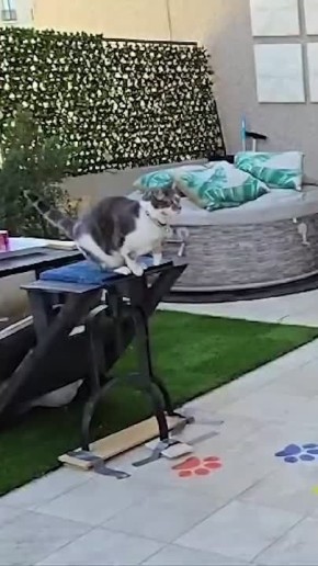       ,        