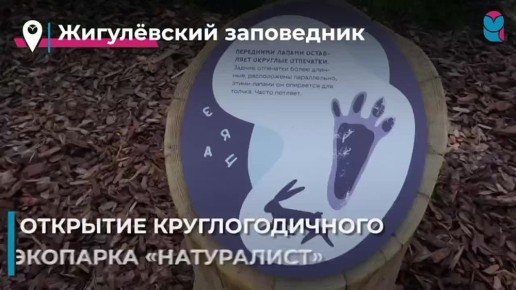          &quot;&quot;