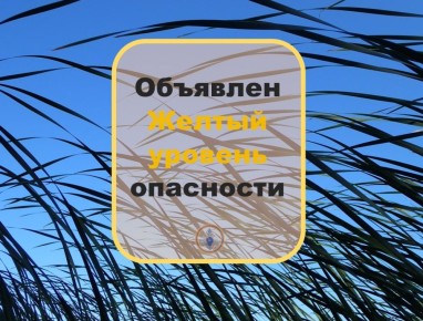 .       17.05.2025      ,  15-18 /   :      , , ...