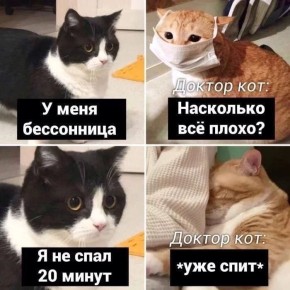     5   ?