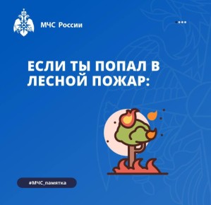   :   ,  ,    