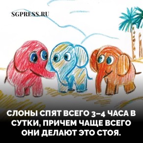   , ?... #__