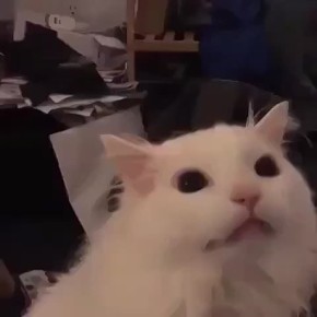   ?    