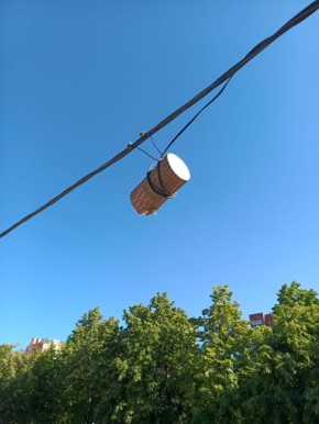    10    :   