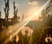 Самарская область в рубрике #фотоСОВА