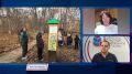 В День эколога о проблемах, с которыми сейчас сталкивается природа нашего края, а также о добрых акциях мы попросили рассказать Наталью Циммер - руководителя отдела экологического просвещения нацпарка "Самарская Лука"