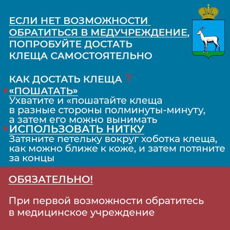Внимание. Сезон активности клещей