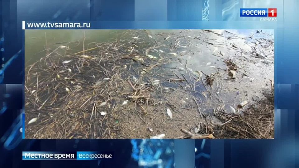          tvsamara.ru,        100 000  ,       150...