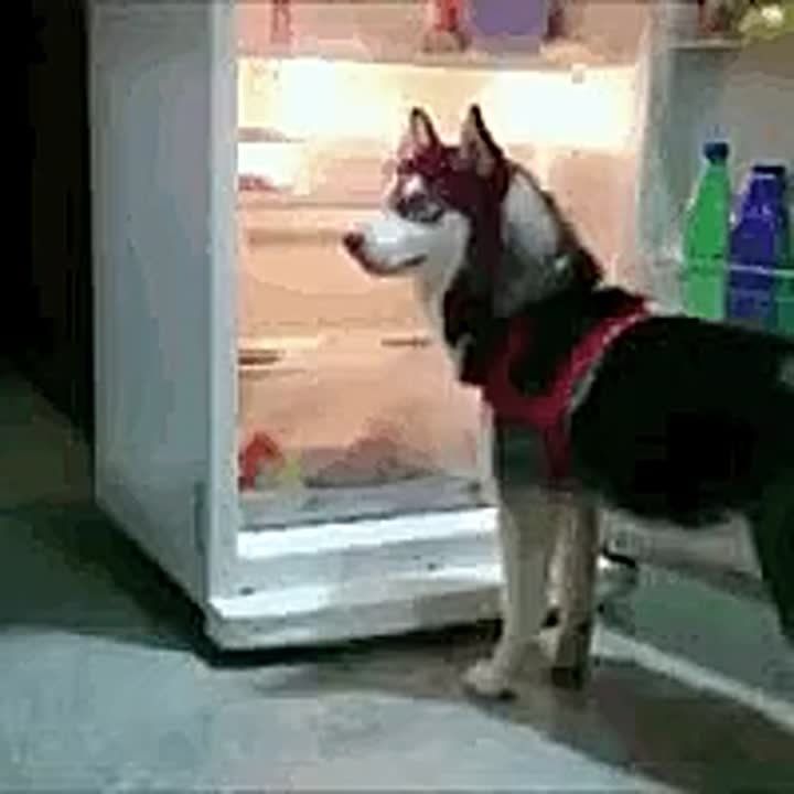 ,  !    