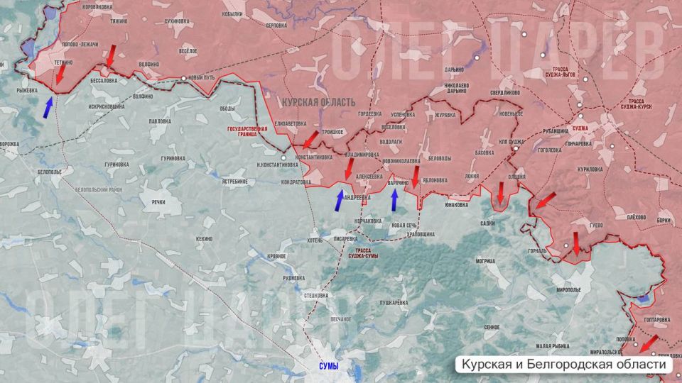 Олег Царёв: Фронтовая сводка 13 июля. На Херсонском направлении идут взаимные обстрелы
