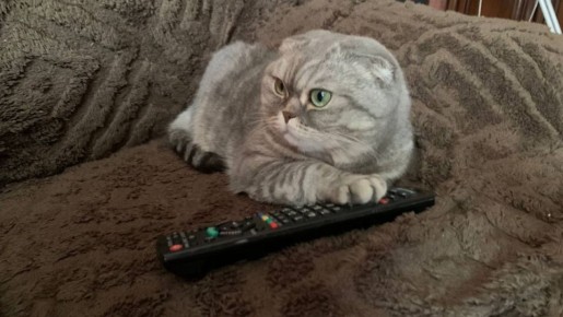     14  17    
