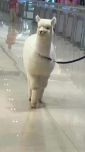     :  )