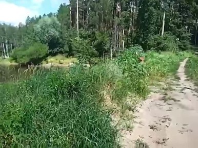    !.          