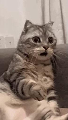 !    